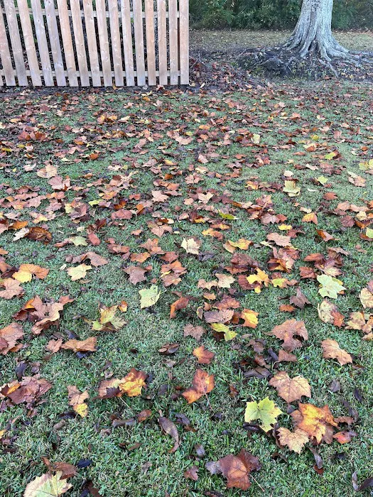 Hidden Oaks RV Park Picture 6