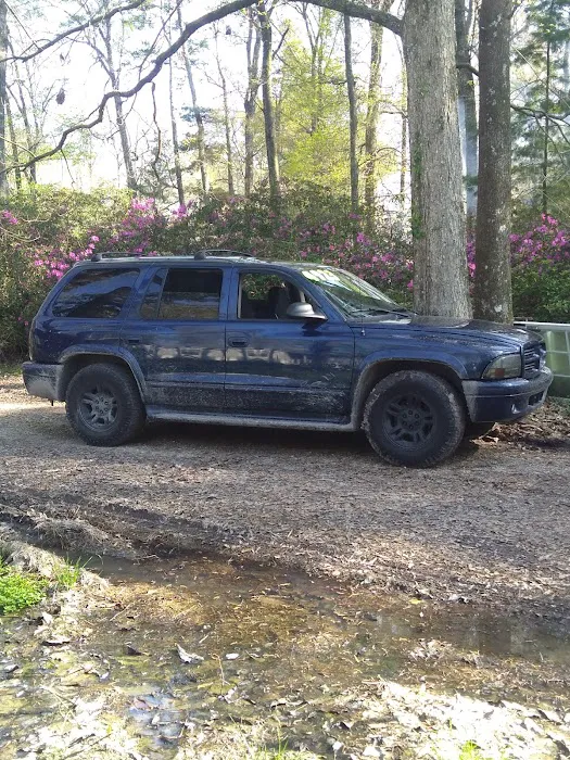 LiveOak Trailer Park Picture 2