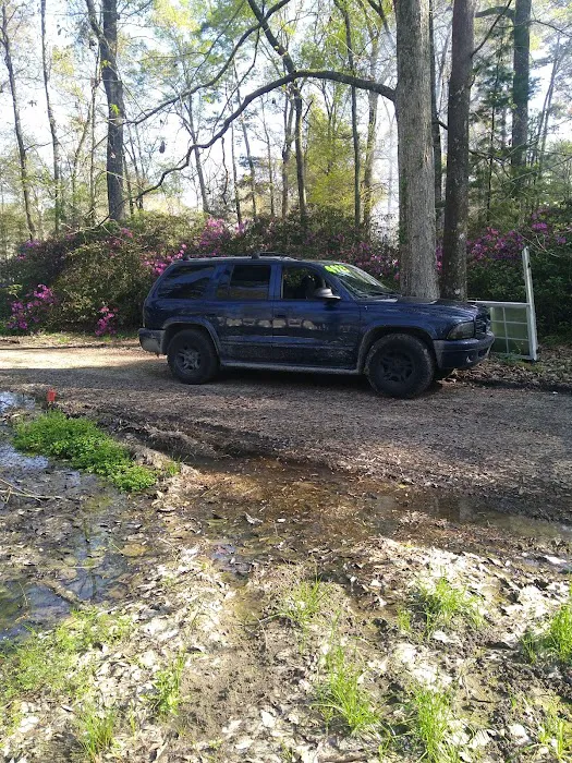 LiveOak Trailer Park Picture 1