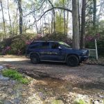 LiveOak Trailer Park