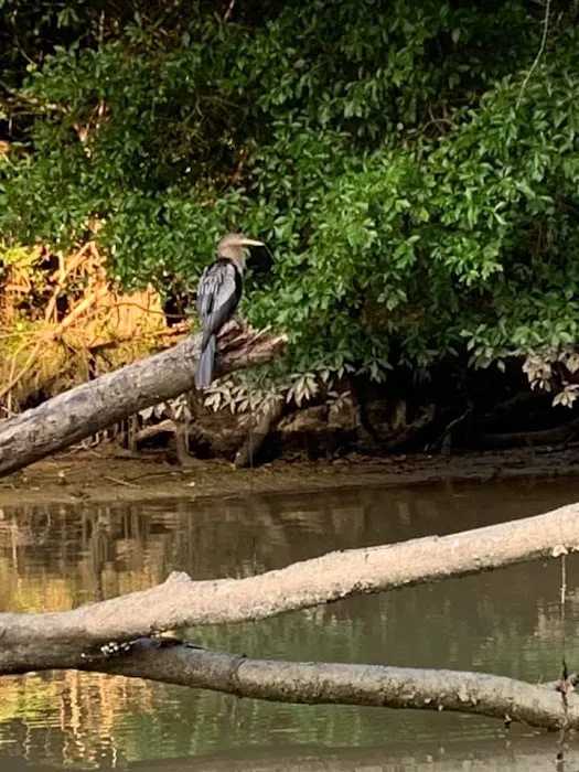 Bayside RV Park, Marina & Bait Shop Picture 7