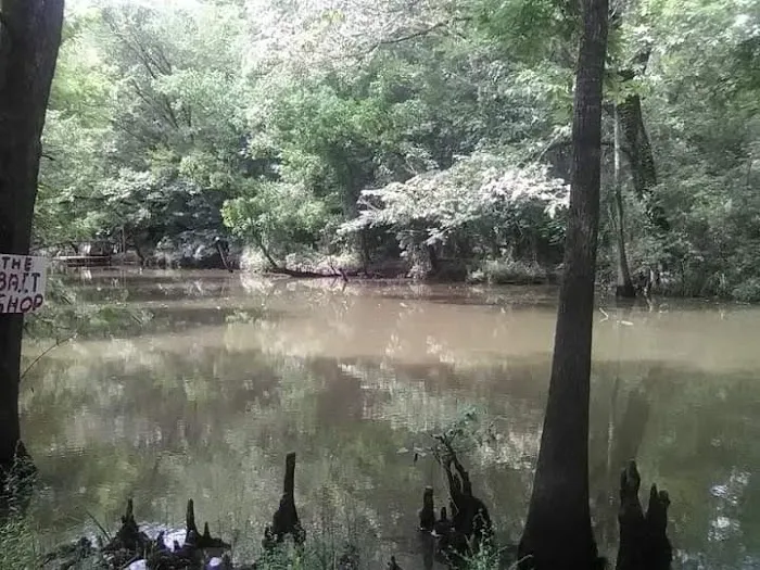 Bayside RV Park, Marina & Bait Shop Picture 2