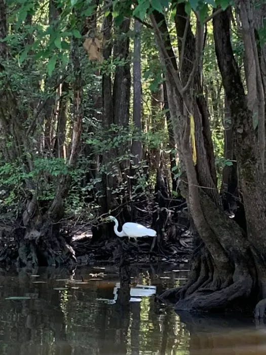 Bayside RV Park, Marina & Bait Shop Picture 8