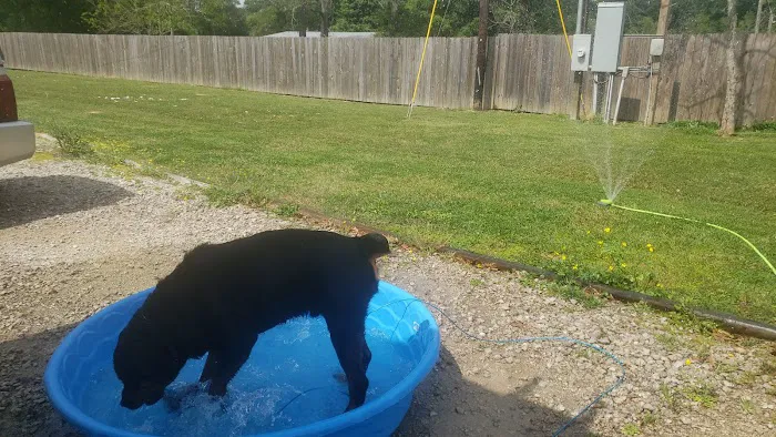 Lindco rv park Picture 5