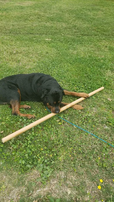 Lindco rv park Picture 9