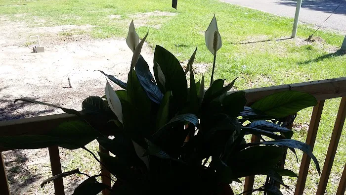 Lindco rv park Picture 10