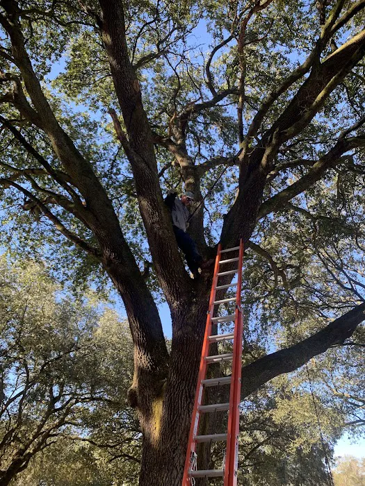 Powers RV Park, Homewood Holdings Picture 5