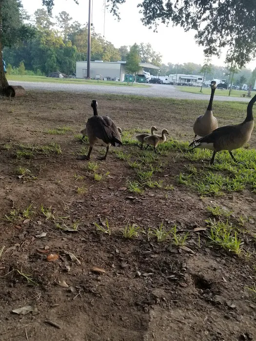 Powers RV Park, Homewood Holdings Picture 10