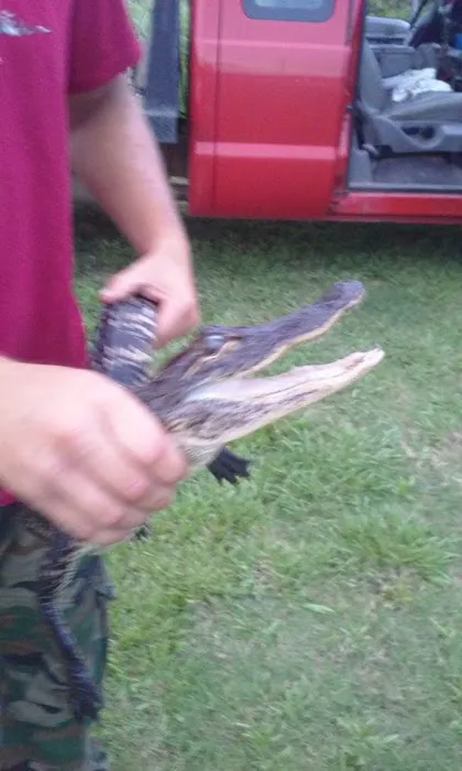 DV and D RV Park Picture 4