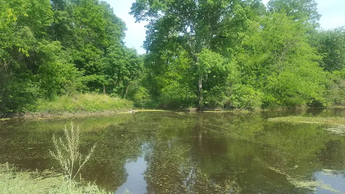 Bardwell RV Park Picture 1