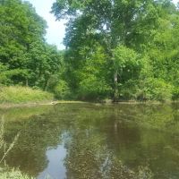 Bardwell RV Park ico