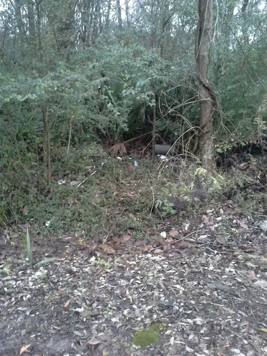 Night RV Park Picture 6