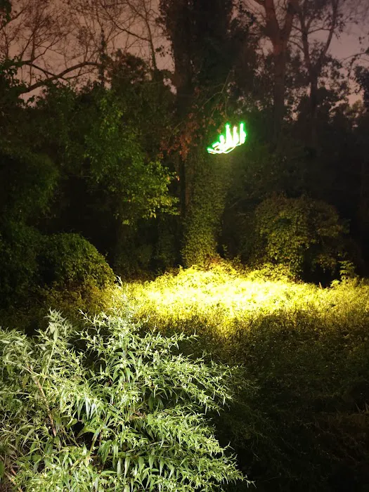 Night RV Park Picture 2