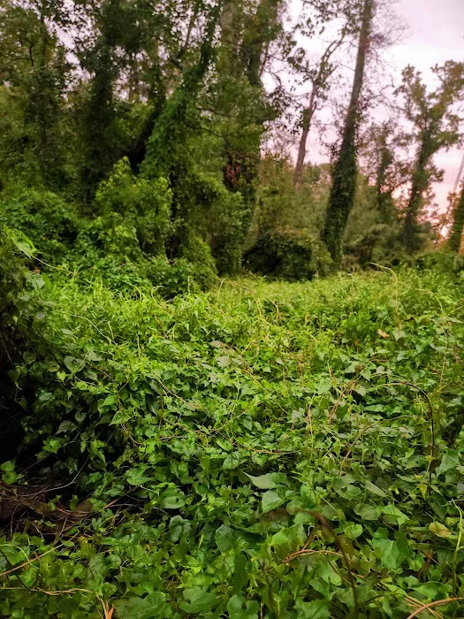 Night RV Park Picture 3