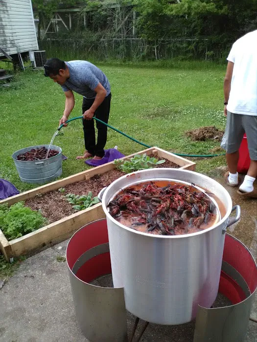 Vesta Mobile Home & RV Park Picture 3