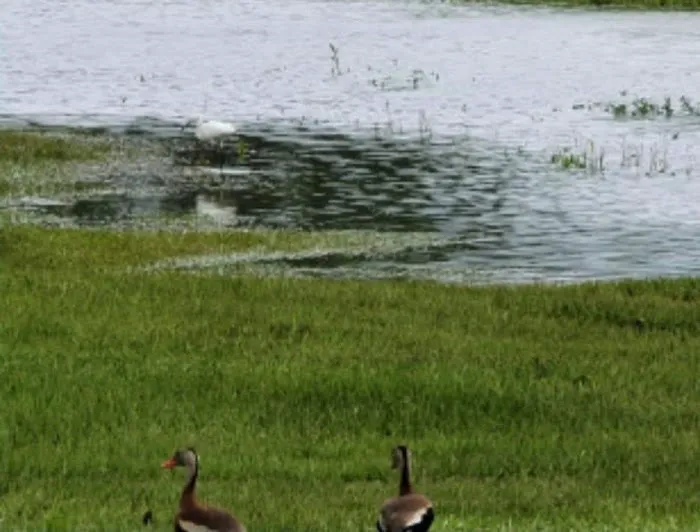 Twin Lakes Mobile Estates Picture 7