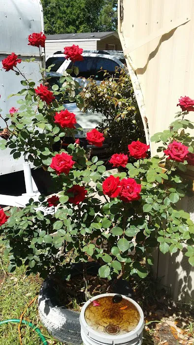 Cedarcrest Southmoor Mobile Home Picture 1