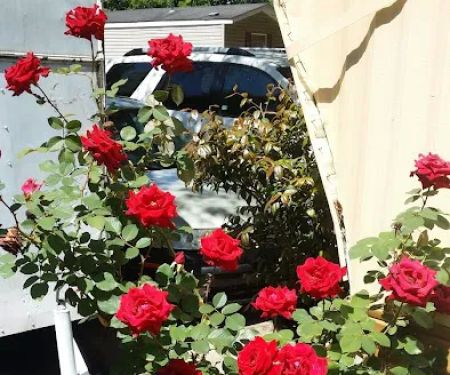 Cedarcrest Southmoor Mobile Home