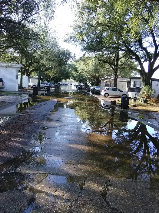 Cedarcrest Southmoor Mobile Home Picture 3