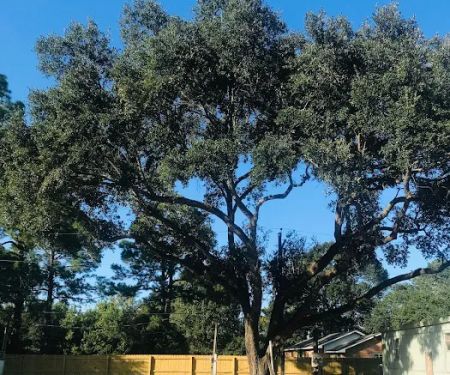 Oak Park Mobile Home Community