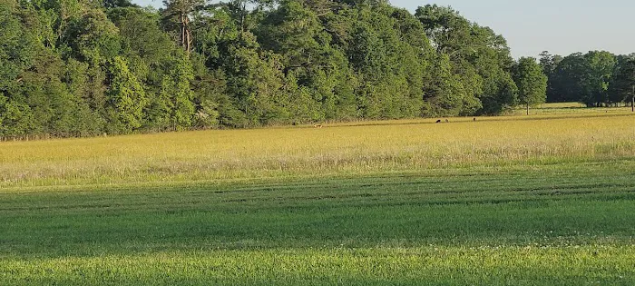 Country Breeze Mobile Home Park Picture 3