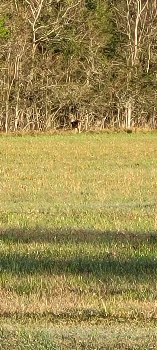 Country Breeze Mobile Home Park Picture 1