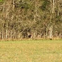 Country Breeze Mobile Home Park ico