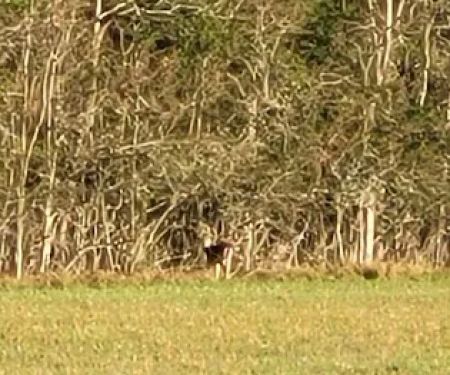 Country Breeze Mobile Home Park