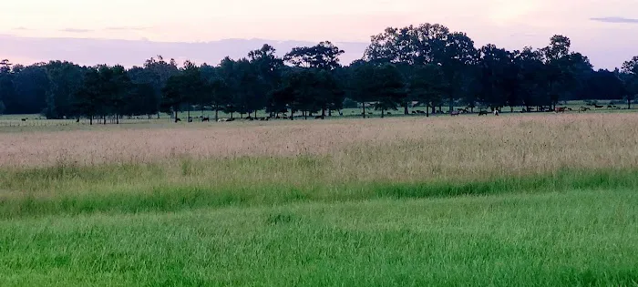 Country Breeze Mobile Home Park Picture 6