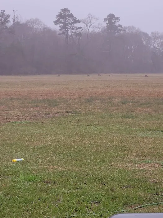 Country Breeze Mobile Home Park Picture 4