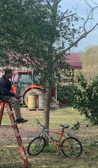 Country Breeze Mobile Home Park Picture 10