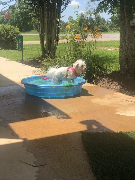 Baker's Mobile Home & RV Park Picture 9