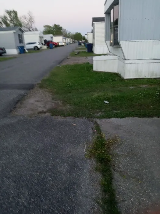 Trailer Park Picture 3