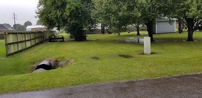 Trailer Park Picture 1