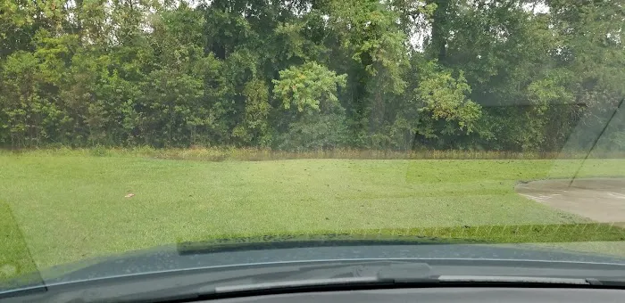 Trailer Park Picture 2