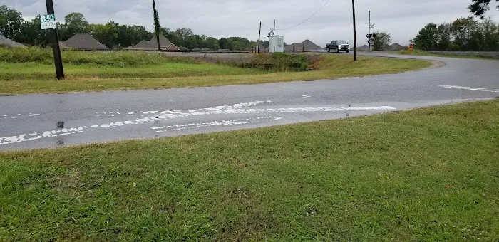 Trailer Park Picture 4