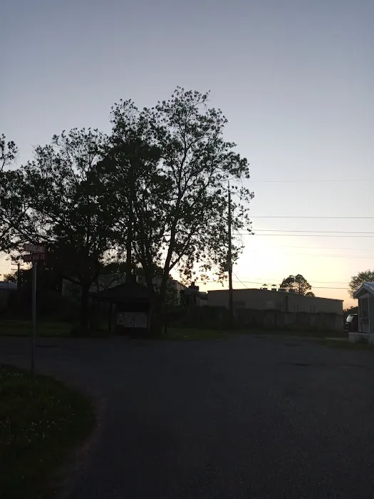 Trailer Park Picture 6