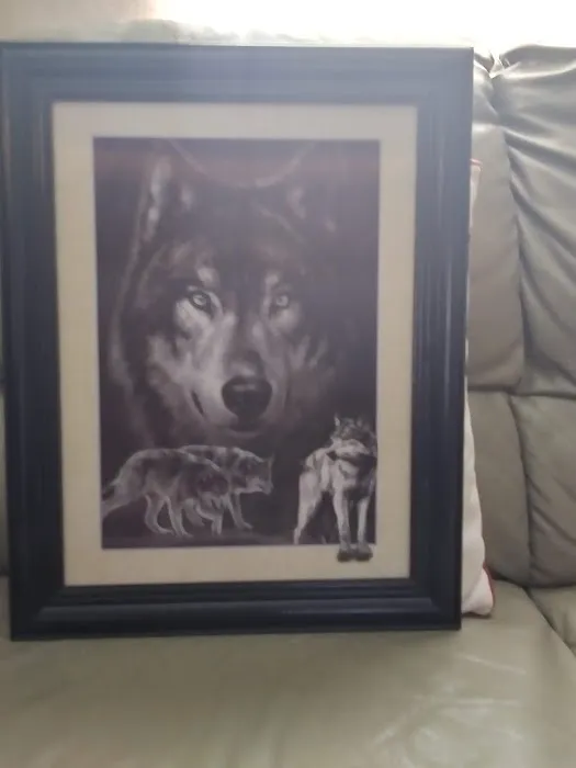 My Hand Trailer Park Picture 2