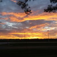 My Hand Trailer Park ico