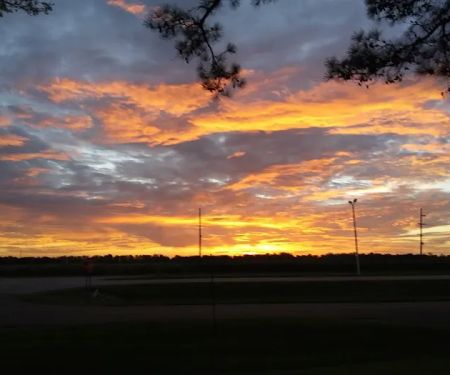 My Hand Trailer Park