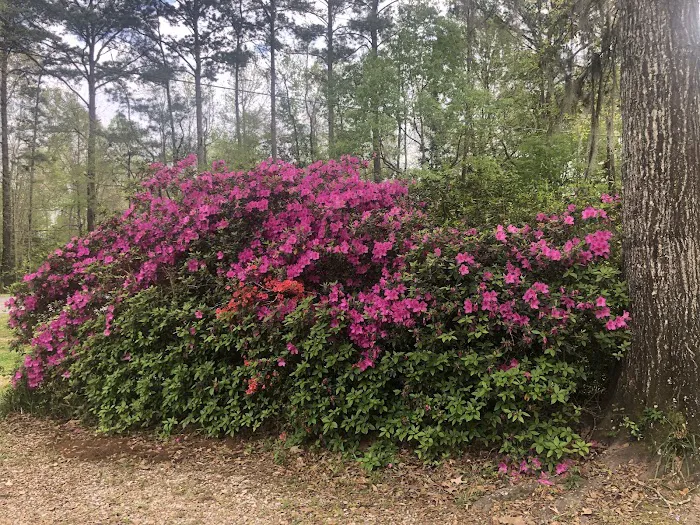 Peaceful Pines RV Park & Campground Picture 8