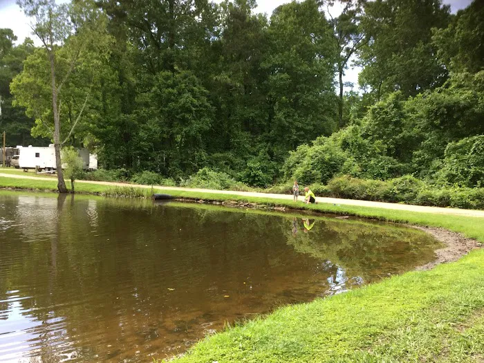 Peaceful Pines RV Park & Campground Picture 6