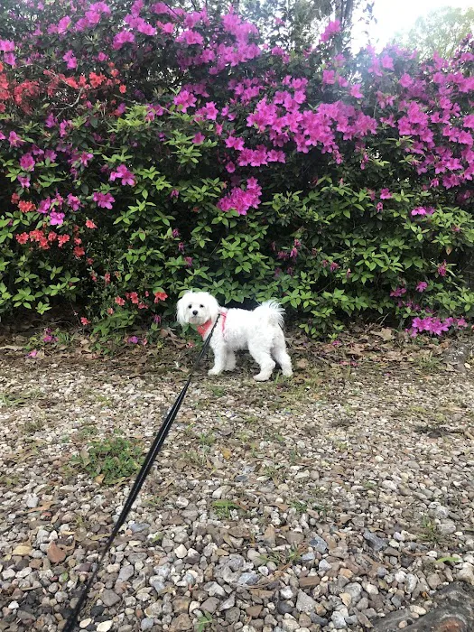 Peaceful Pines RV Park & Campground Picture 10