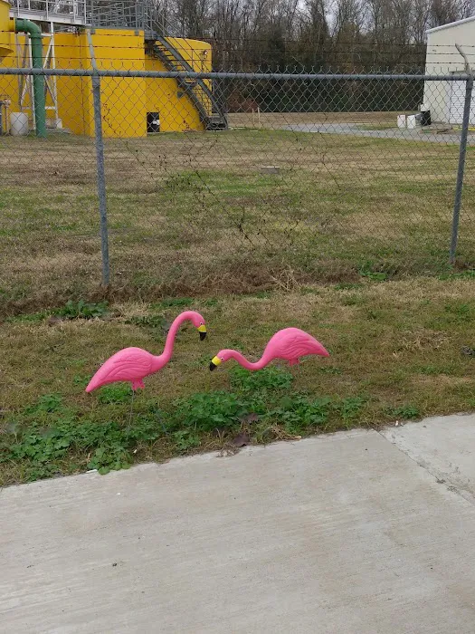 Atchafalaya Rv Park Picture 7