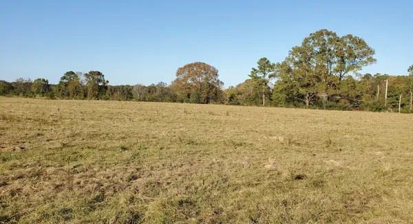 End O' The World RV Park Picture 2