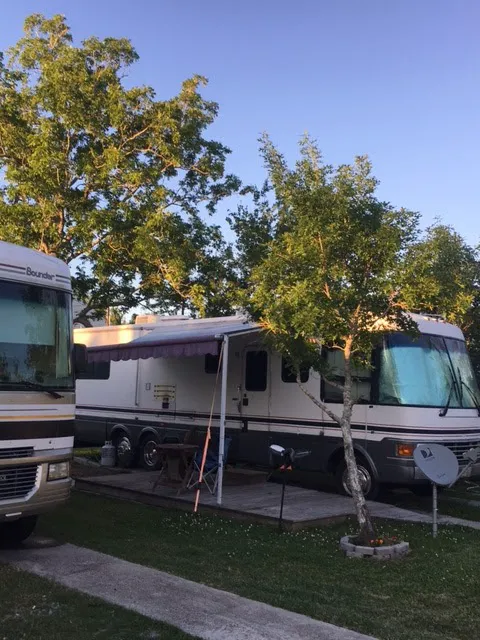 Lazydayrvpark Picture 4