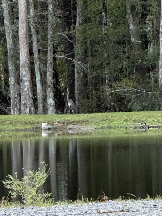 Cypress Haven RV Park Picture 8