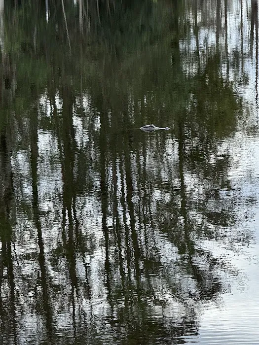 Cypress Haven RV Park Picture 9