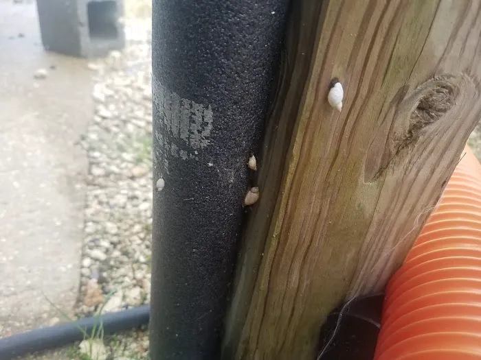 Craftsmen Cove RV Park Picture 1