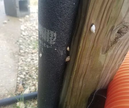 Craftsmen Cove RV Park